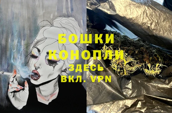 гашик Осинники