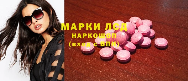 прущий лед Алзамай