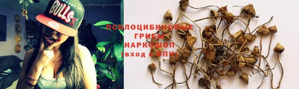 не бодяженный Аркадак