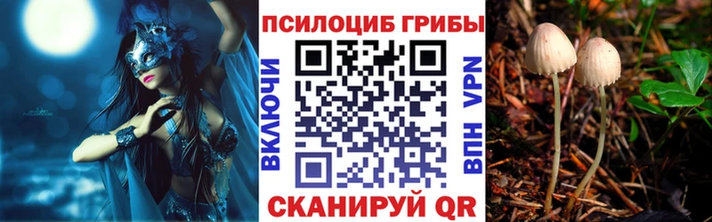 Галлюциногенные грибы GOLDEN TEACHER  Пущино 